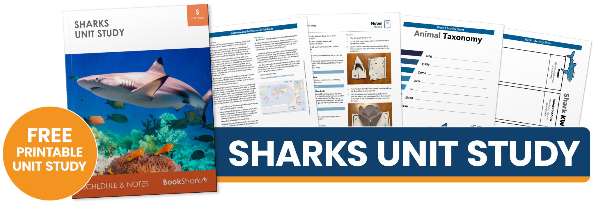 BookShark Homeschool Curriculum